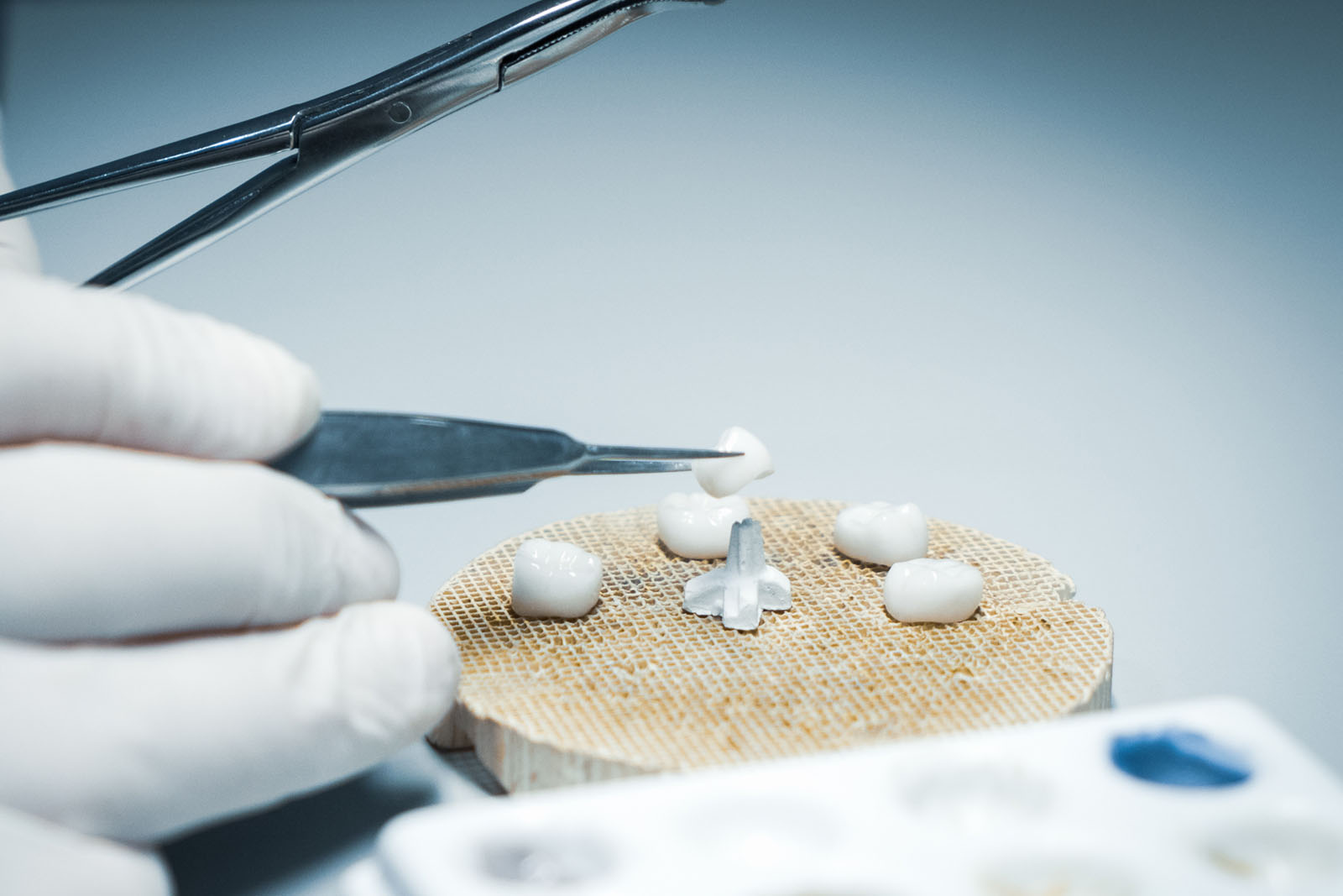 korony zębowe lubin